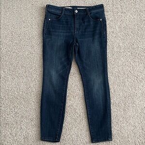 Anthropologie Pilcro and the Letterpress High Rise Jeans